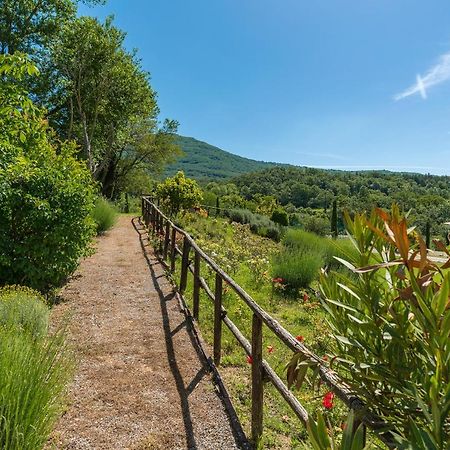 Borgo Fastelli - House In Historical Borgo In Tuscany - Sambuco Sarteano Ngoại thất bức ảnh